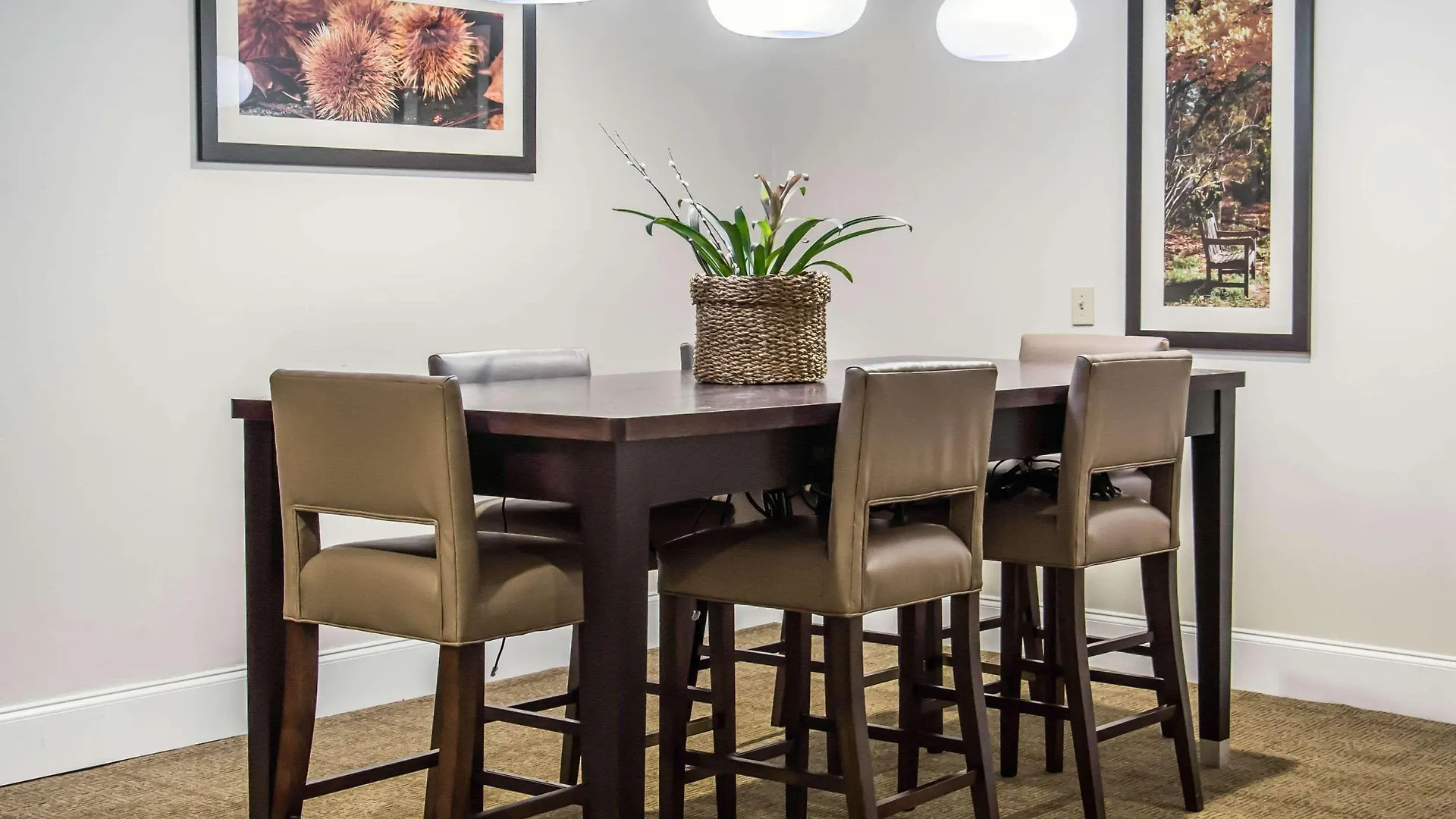 Hotel Comfort Suites University - Research Park Charlotte
