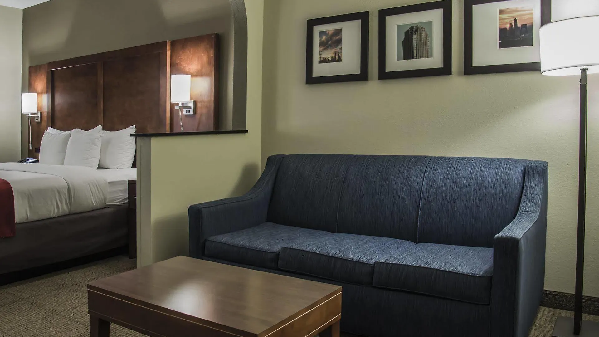 Hotel Comfort Suites University - Research Park Charlotte