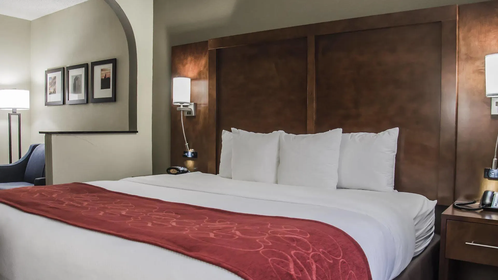 Hotel Comfort Suites University - Research Park Charlotte