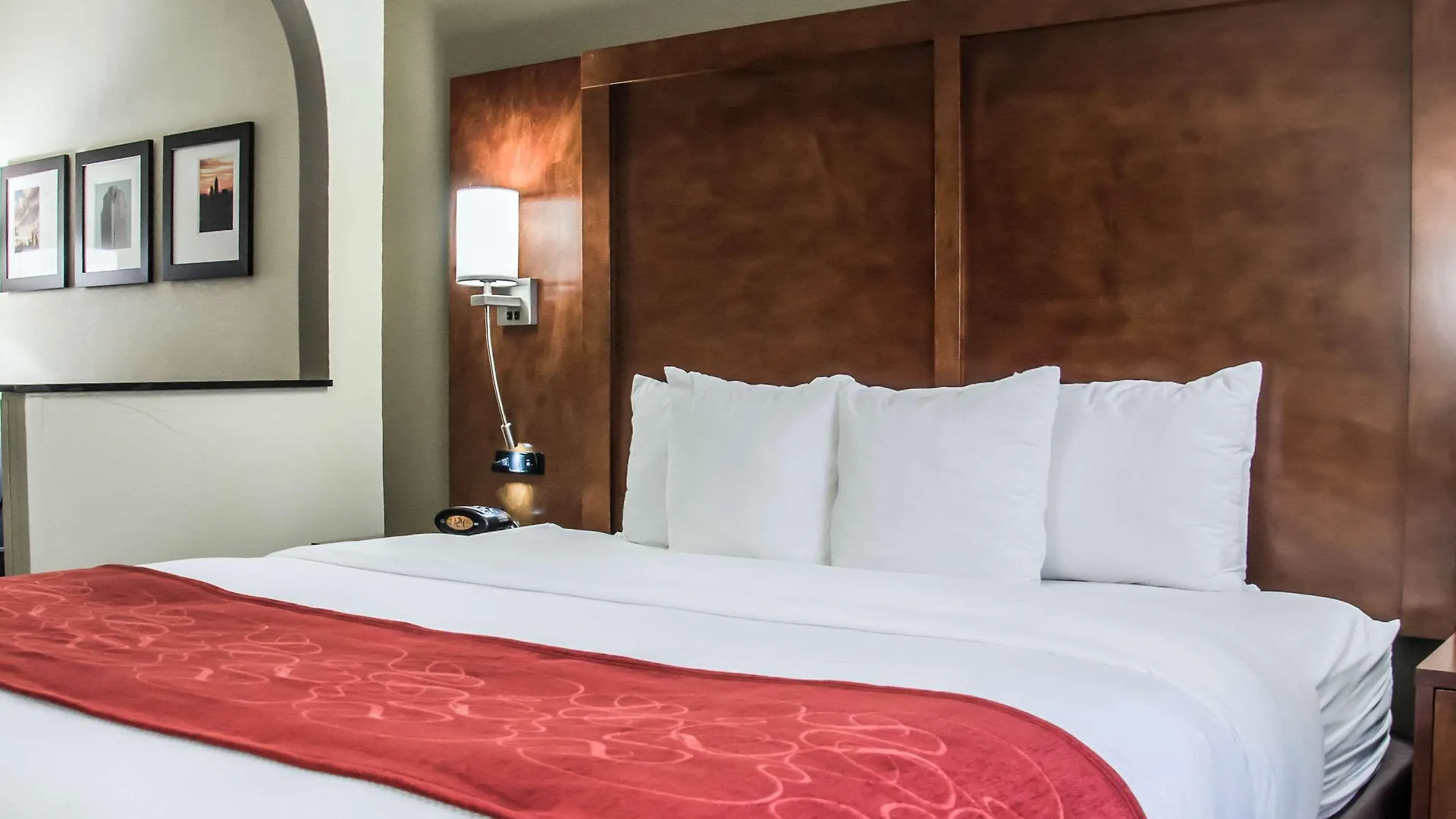 Comfort Suites University - Research Park Charlotte