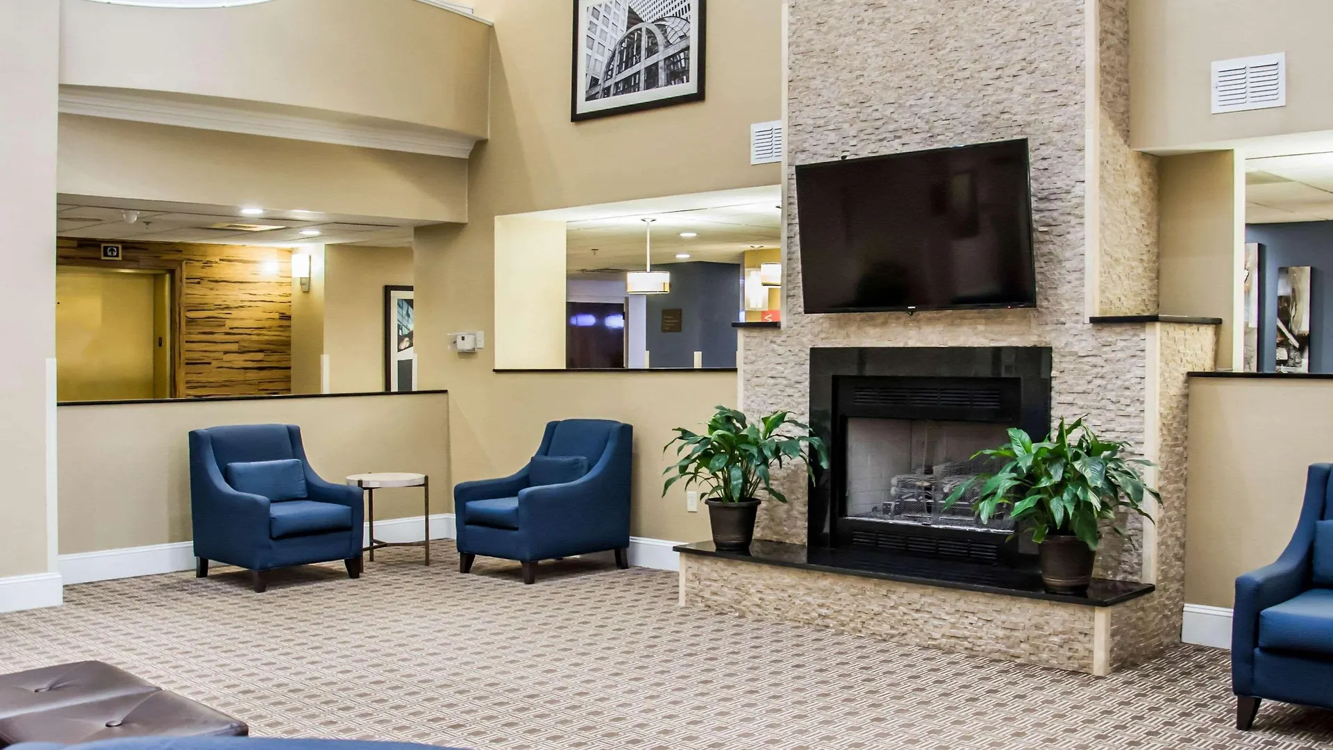Hotel Comfort Suites University - Research Park Charlotte