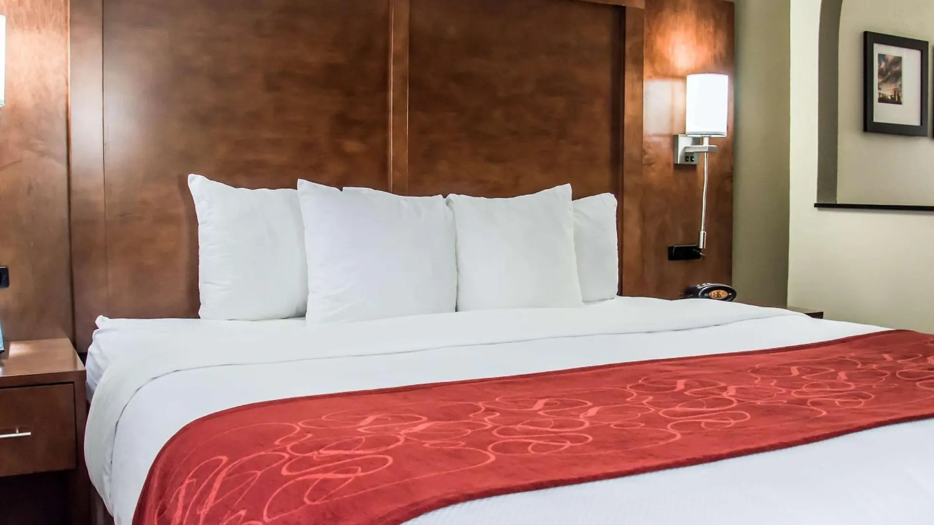 Comfort Suites University - Research Park Charlotte United States