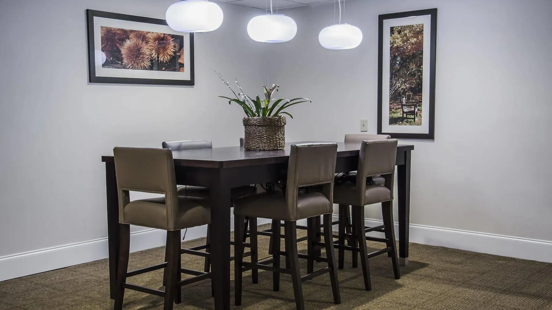 Comfort Suites University - Research Park Charlotte United States