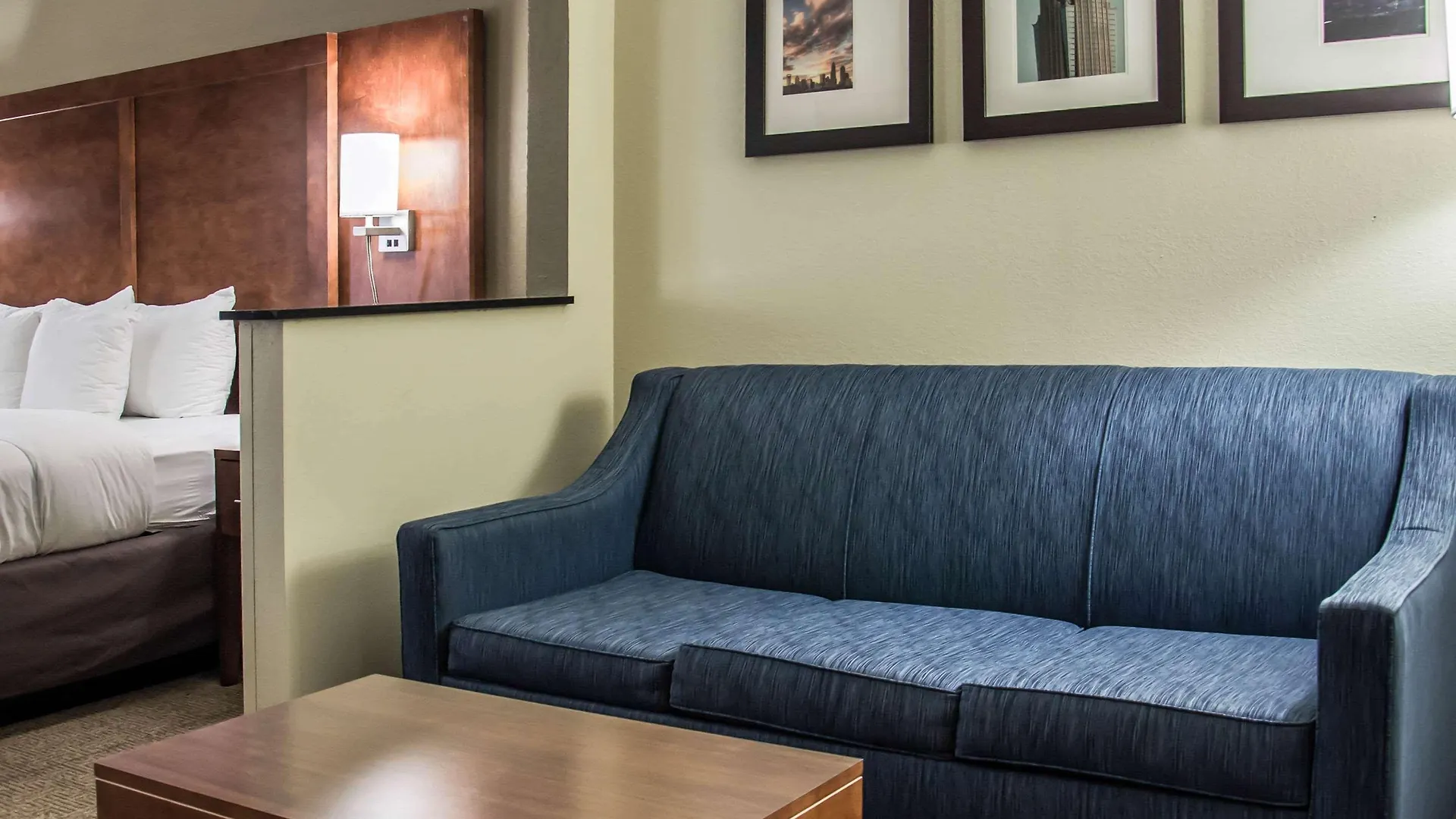 Hotel Comfort Suites University - Research Park Charlotte