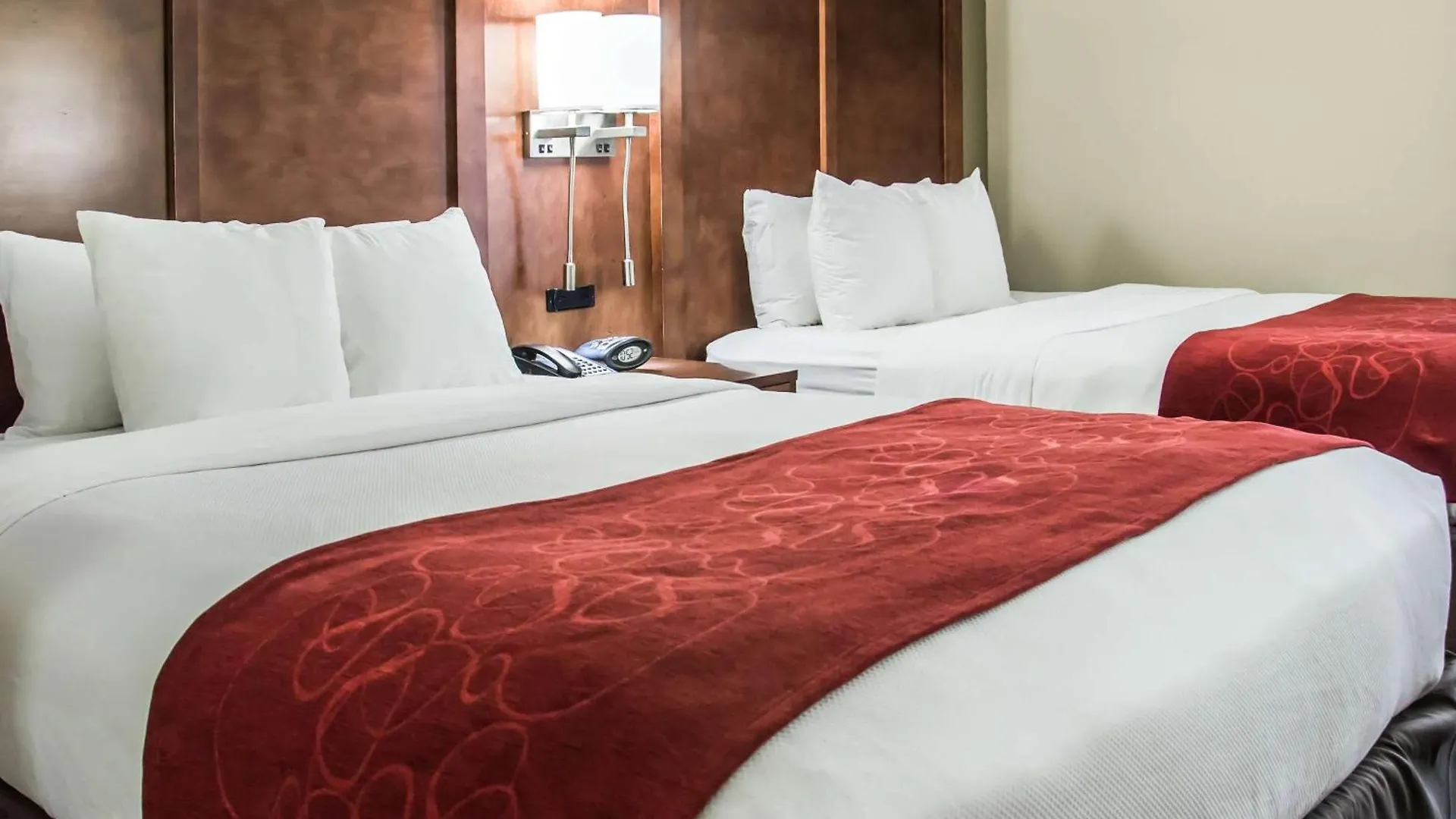 Hotel Comfort Suites University - Research Park Charlotte